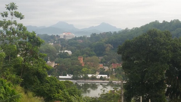 36 Bed & Breakfast image 19