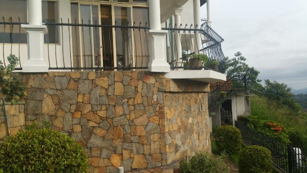 36 Bed & Breakfast image 25