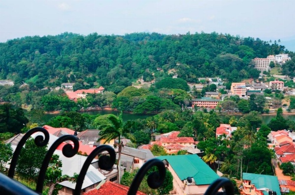 36 Bed & Breakfast image 27